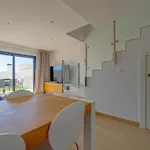 公寓 Duplex 菲内斯特拉特